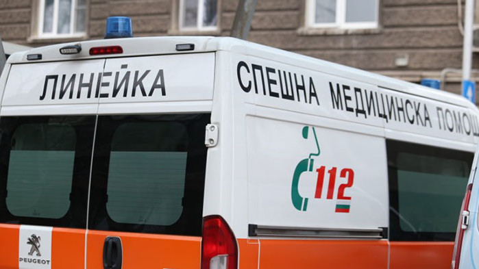 Питбул нападна дете край Самоков