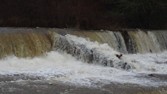 По случаите се водят досъдебни производства Трима души са се