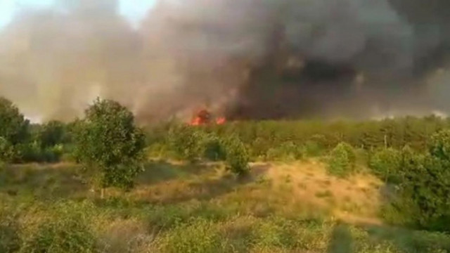 Голям пожар пламна в Стара Планина близо до Рожен и