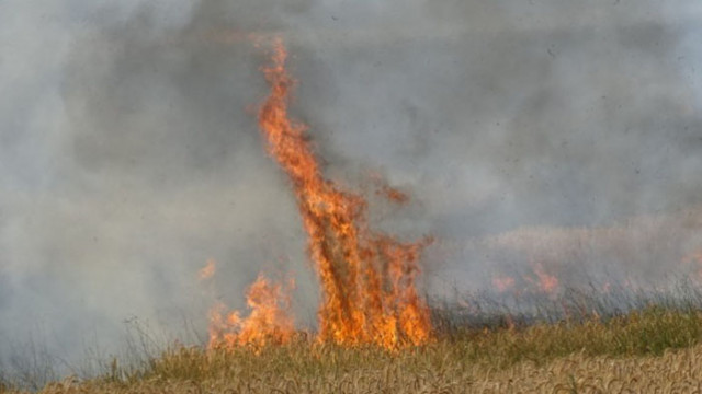 Шест обезлюдени къщи изгоряха при пожар над кюстендилското село Ръждавица