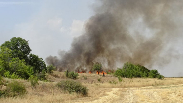 Военнослужещи гасят пожара в боровата гора над Розино Пет пожара