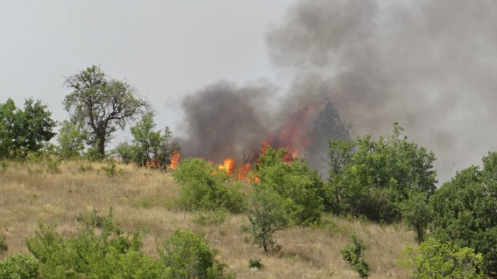 Двама горски служители са загинали при гасенето на пожара край