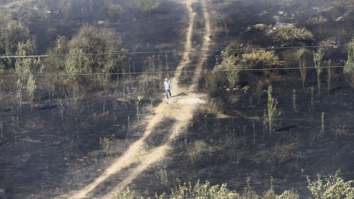 Забранява се горенето на стърнища у нас. Това е една