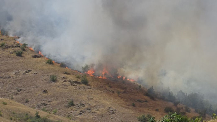 На мъжете им прилошало от дима Днес в общините Петрич