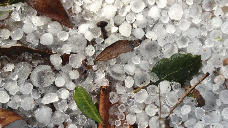 Градушка с размерите на лешник падна в Смолян и Пампорово,