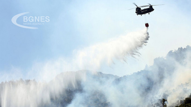 За седми пореден ден гръцките пожарникари продължават борбата с огъня