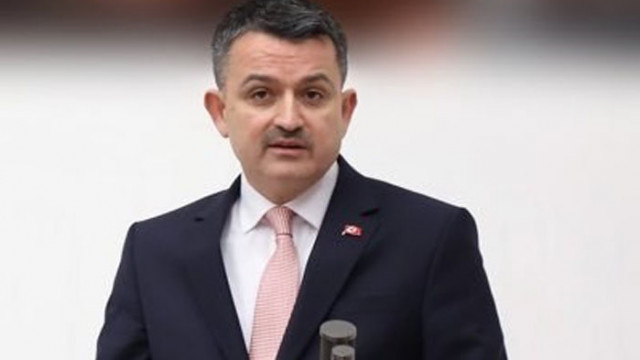 Турция е овладяла всички горски пожари с изключение на два