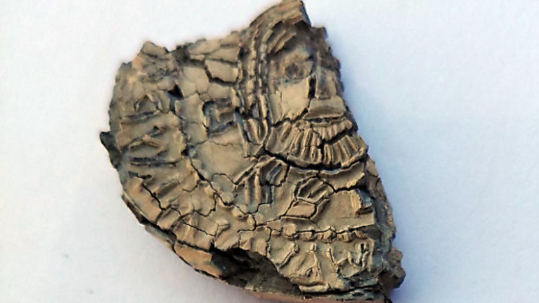 Археолози, проучващи Обект № 41 откриха оловен печат на Княз