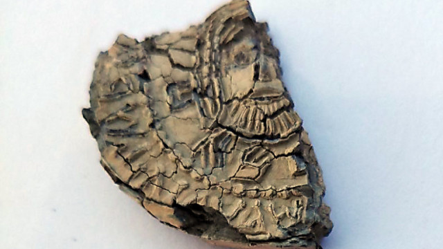 Археолози проучващи Обект № 41 откриха оловен печат на Княз