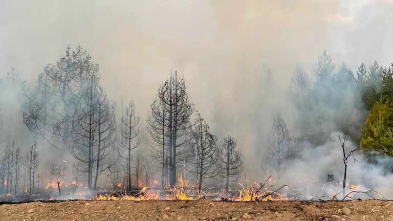 Пожар е избухнал преди обяд до вилната зона край Харманли.