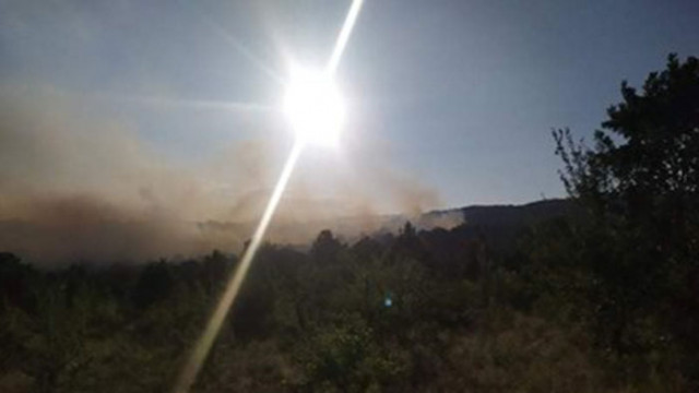 Огнеборци успяха да локализират пожара край Хисаря избухнал снощи за