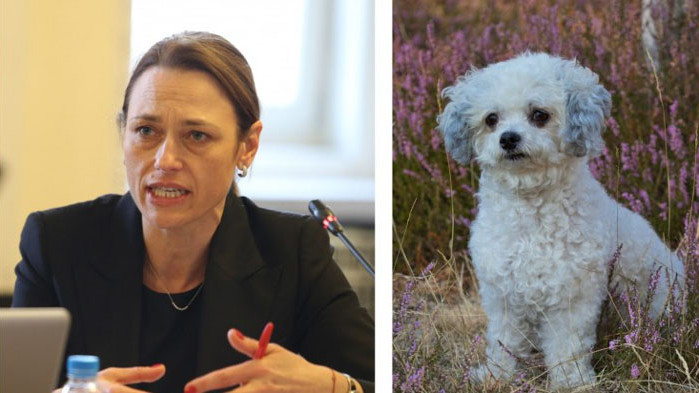 Г-жа Дончева ме нарече болонка, но това куче може да