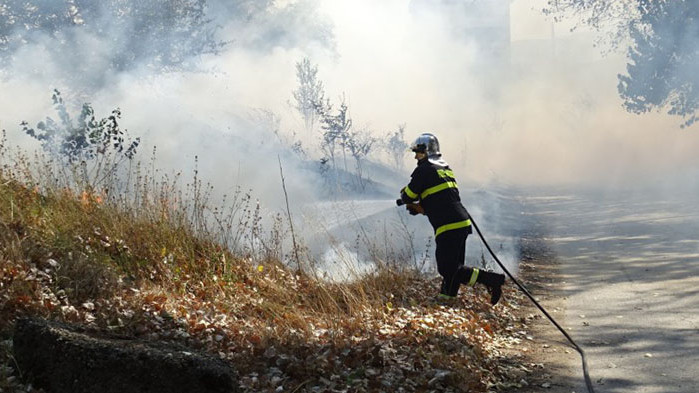 Втори ден гори борова гора в района на село Югово