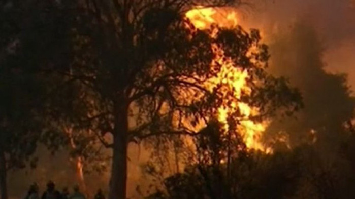 Противопожарната служба на гръцкия остров Родос е задържала 57-годишна българка