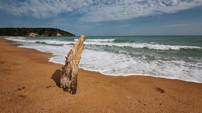 Днес ще е слънчево. Ще духа слаб, по крайбрежието до