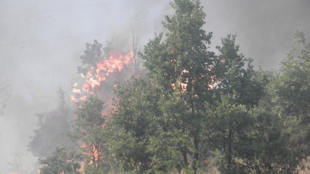 Четири екипа пожарникари се борят с пламъците между червенобрежките села Радомирци и