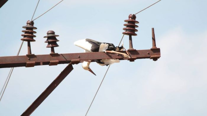 Експерти от РИОСВ-Варна извършиха проверка във връзка с постъпил сигнал