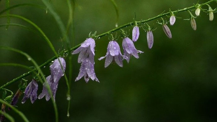 Днес облачността над по-голямата част от страната ще е значителна.