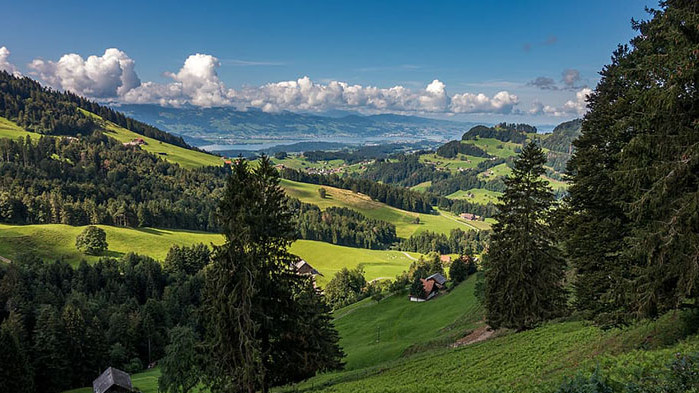 ОвенИзглежда че човекът, който е общувал с Вас изключително на