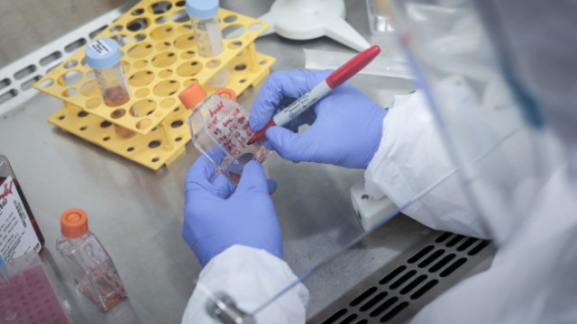 Нов вариант на коронавируса C 1 2 е открит в Южна Африка
