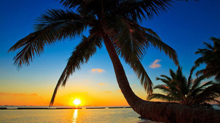 Овен Ако сте недоволни от местоработата си и мислите, че