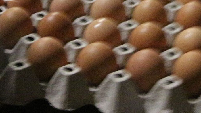 Яйца за закуска - допинг за мозъка