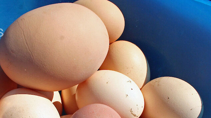 Най-правилният начин за приготовление на яйцата е да ги сварите,