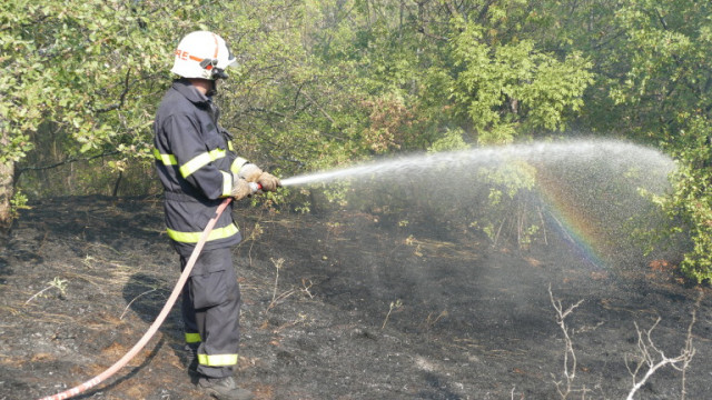 Сухи треви и храсти горят край град Хаджидимово  съобщава БНТ Екип