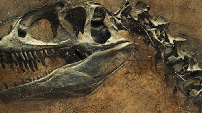 Палеонтолози идентифицираха неизвестен досега вид динозавър