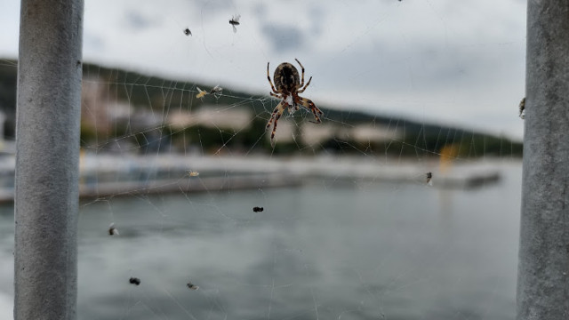 Днес ще преобладава слънчево време По значителна предимно висока облачност ще