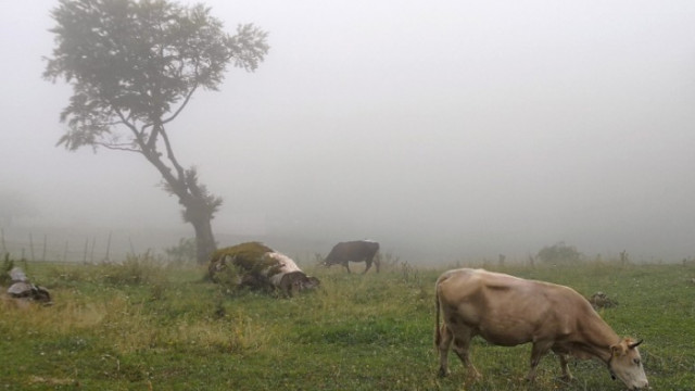 Забраняват на селските стопани да се възползват от най съвременните достижения