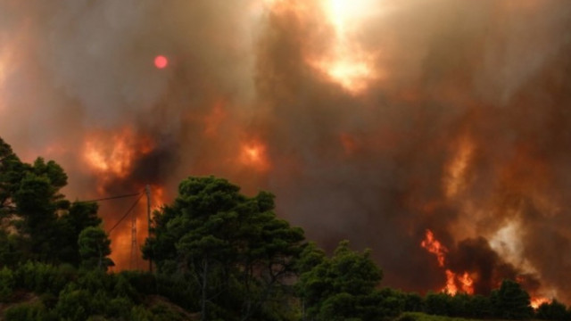 Пожар гори на територията на Национален парк Рила Огънят бушува
