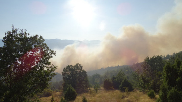 Горски пожар избухна в местността Бетоловото над Разлог  съобщава БНР Екипи