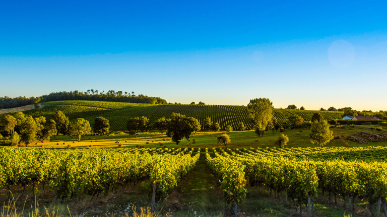 Може и да звучи изненадващо, но столицата на Австрия е