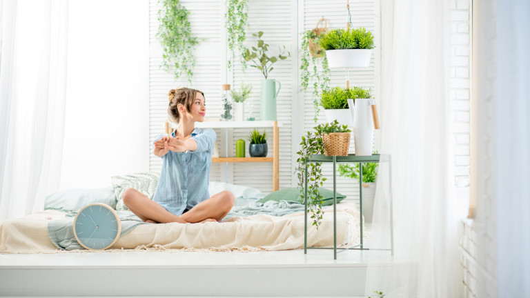 Дали домашните растенията могат да пречистят въздуха вкъщи