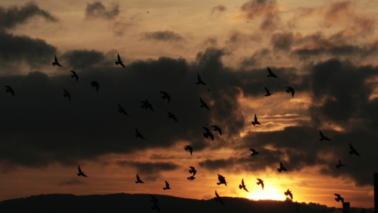 В съботния ден ще има променлива облачност, на места с