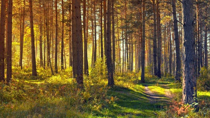 Хороскоп за 20 септември 2021 г.