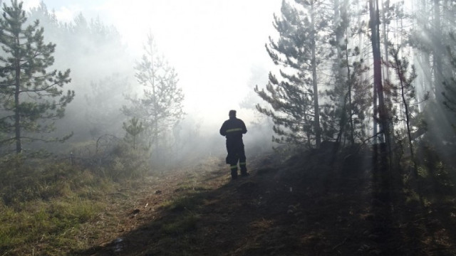 Вчера следобед отново пламна пожар в местността Беталовото на Разлог