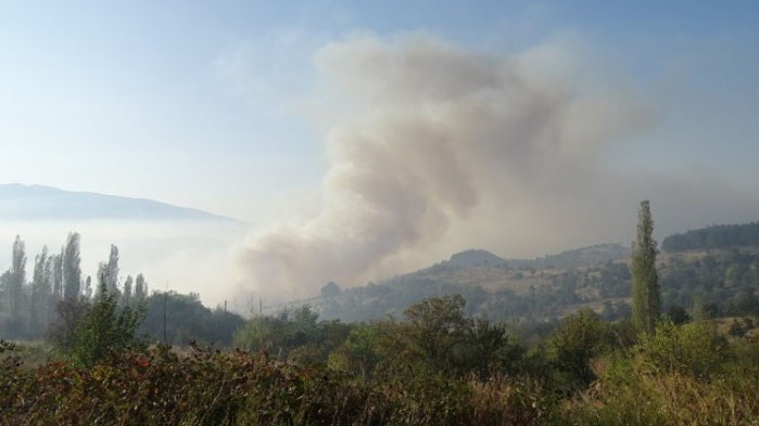 Голям пожар избухна над Водната кула в Карлово, съобщава БНТ.