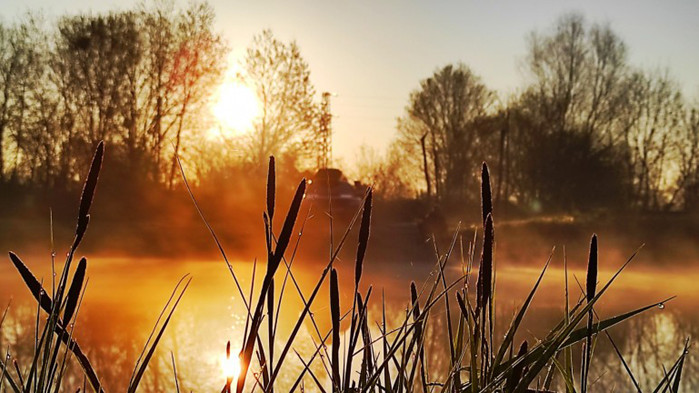 Днес температурите ще са между 25 и 30 градуса В