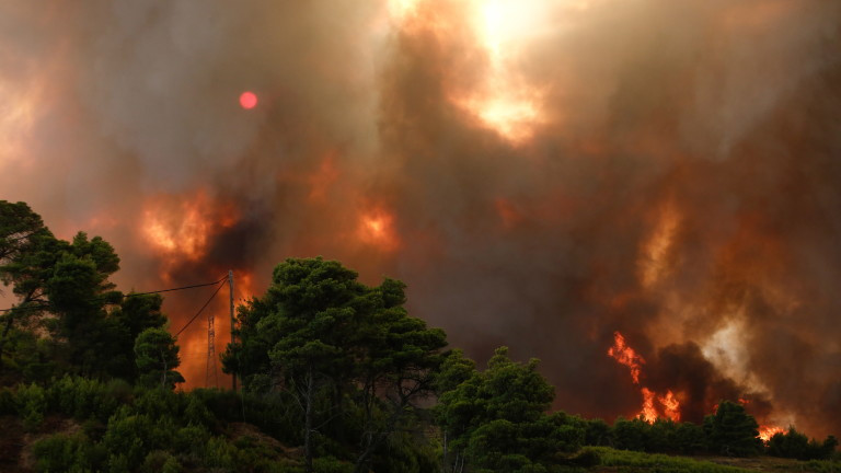 В южната част на Турция отново горят горски пожари, предаде агенция