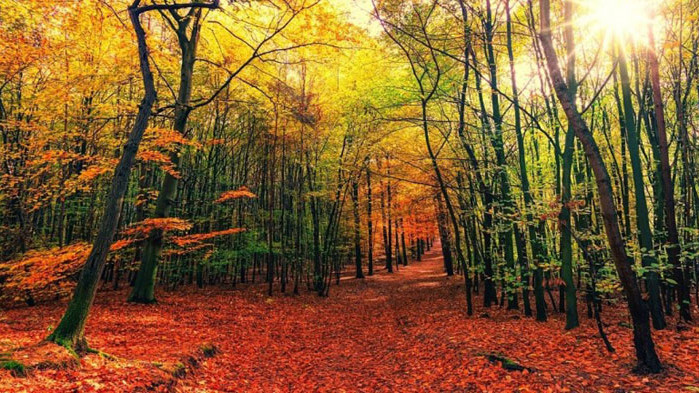 Средната месечна температура през октомври ще бъде около и под