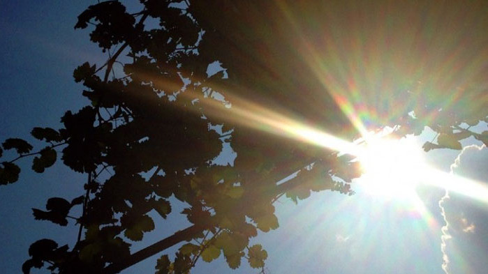 Днес се очаква да е слънчево, слаб до умерен източен