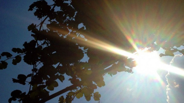 Днес се очаква да е слънчево слаб до умерен източен