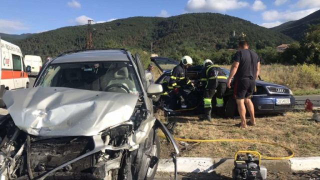 Кола се заби в дърво в козлодуйското село Гложене Автомобил