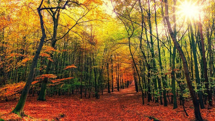 Над страната ще преобладава слънчево време. Преди обяд над източните