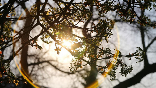 Новата седмица ще започне със слънце Въпреки ниските сутрешни температури