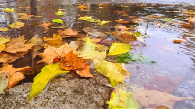 Новата работна седмица обещава затопляне разкъсване на областта и повишение