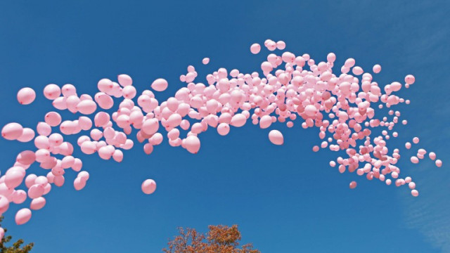 1200 розови балона полетяха в небето днес в 13 ч
