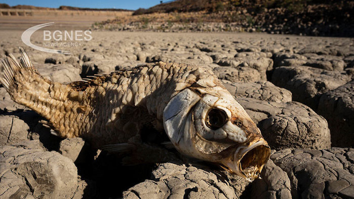 Около 86 милиона африканци ще бъдат принудени да мигрират в